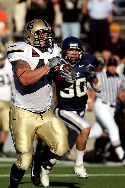 这篇文章补 这篇文章补